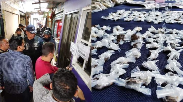 En Mercado de Abasto de Oaxaca de Juárez, confiscan cientos de dosis de droga