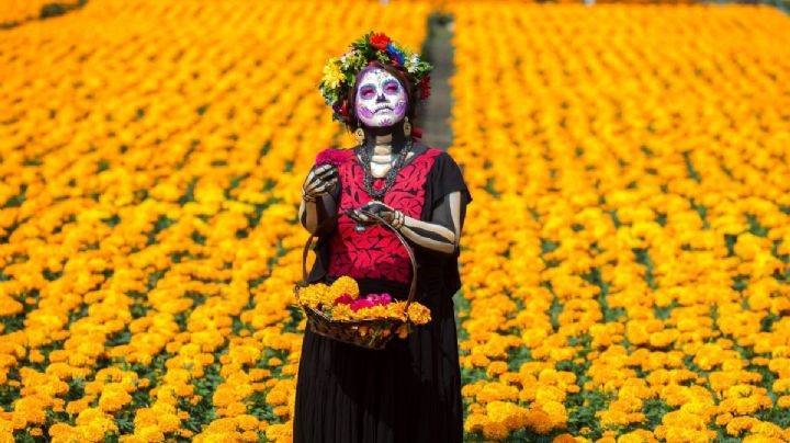 Leyenda del cempasúchil: ¿cuál es la historia detrás de la flor de los muertos?