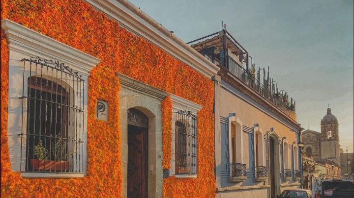 En Oaxaca 10 mil flores de cempasúchil adornan monumental fachada