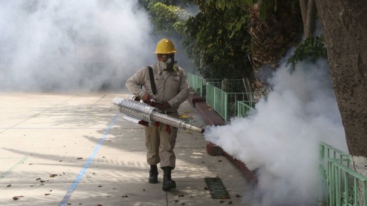 Oaxaca: ¿Cuántos casos de DENGUE hay confirmados en el estado? Esto dice Salud