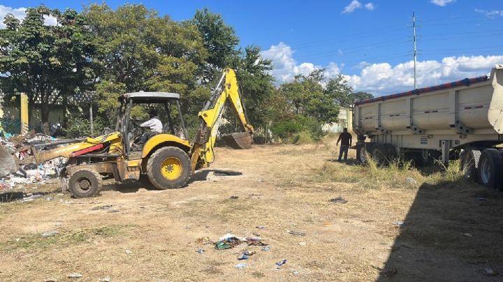 Tras protestas, Ayuntamiento retira basura de la ex fábrica de Triplay