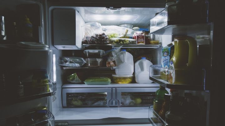 Profeco: Mejores marcas de refrigeradores en 2022; precio, características y consumo de luz