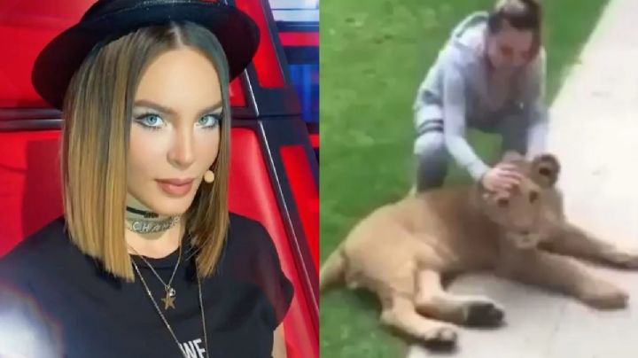 PROFEPA investiga a Belinda por poseer animales exóticos sin permiso; ¿podría ir a prisión?