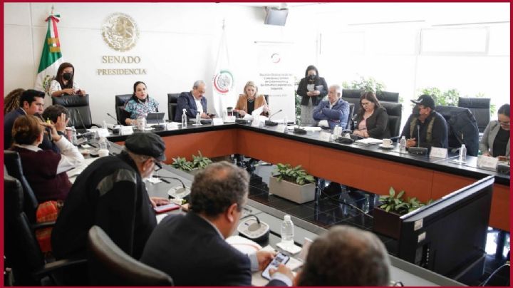 Plan B de la Reforma Electoral avanza en el Senado de la República