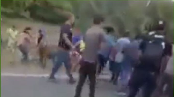 VIDEO | Tráiler con ganado vuelca en Chiapas y pobladores arman una carnicería al aire libre