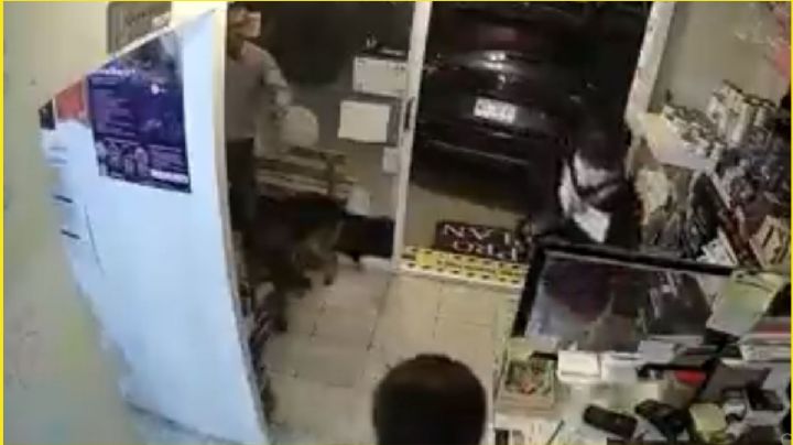 “Te voy a matar” la amenaza de un ladrón a la clienta de una veterinaria en VIDEO