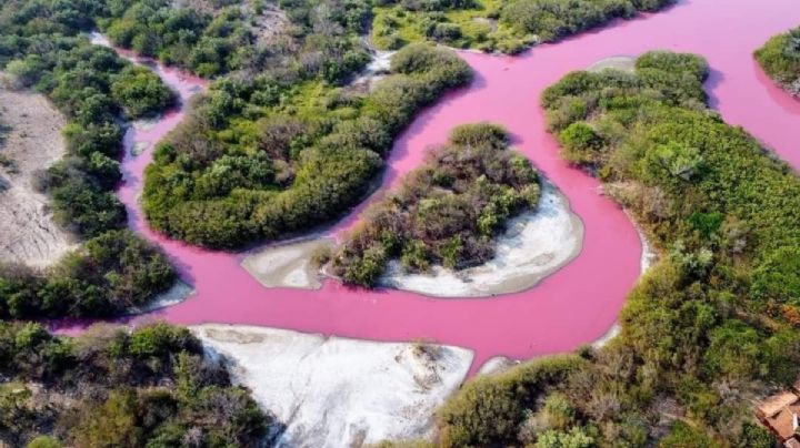 ¿Por qué se pintó de rosa la Laguna Alotengo en Pinotepa Nacional, Oaxaca?