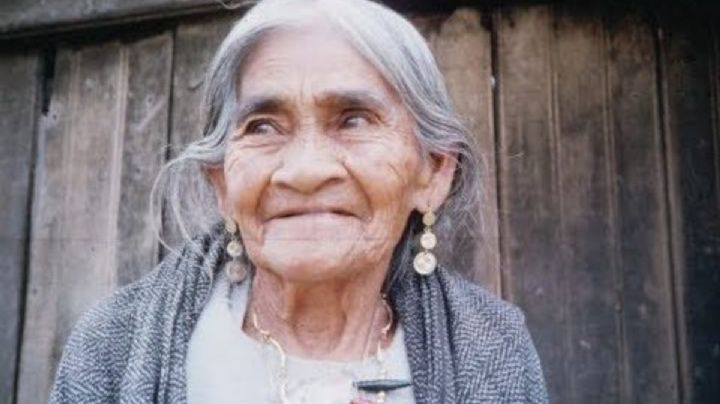 Nueva especie de luciérnaga descubierta en Chapultepec es nombrada María Sabina en honor a la chamana oaxaqueña