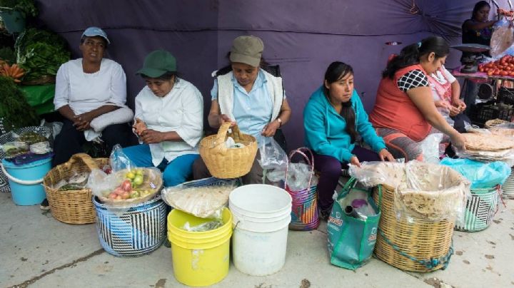 SAT visitará tianguis y mercados de Oaxaca: ¿cuándo?, ¿pondrán multas?