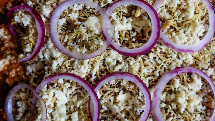 Caldo de gato, hormigas chicatanas y más platillos de Oaxaca que no conocías y tienes que probar