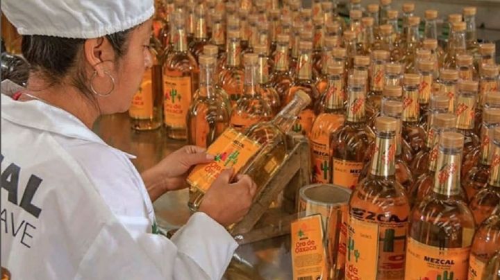 La Denominación de Origen del Mezcal enfrenta serios riesgos en México; ¿por qué?