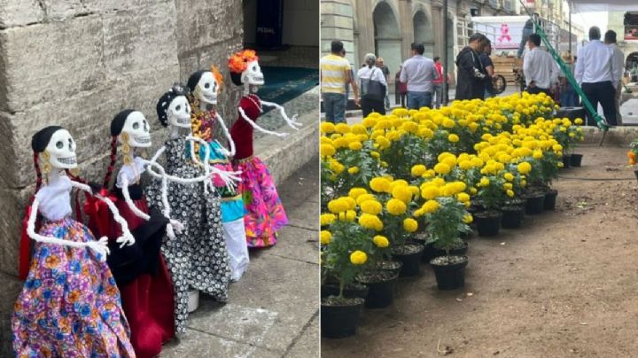 Zócalo de Oaxaca será embellecido con más de 4 mil flores de cempasúchil en Día de Muertos