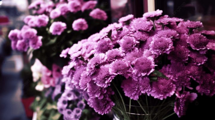 ¿Regalar flores moradas el 9 de octubre? El significado de esta tradición que nació en TikTok