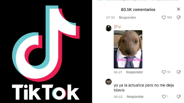 ¿Cómo responder con imágenes en los comentarios de TikTok?