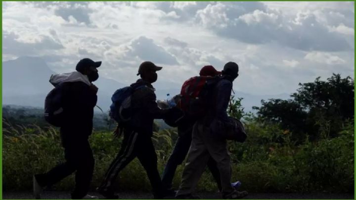 OAXACA en alerta por Malaria: 20 migrantes están infectados; ¿qué es y cómo se contagia?