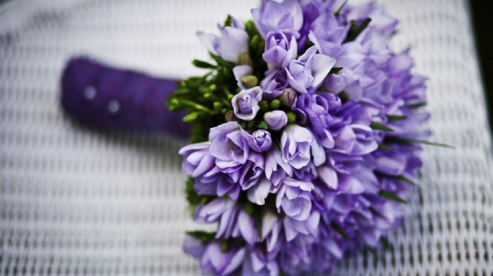 ¿Cuánto cuesta un ramo de flores moradas para regalar este 9 de octubre 2023?