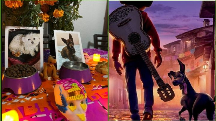 Día de Muertos 2023: ¿Cuál es el día de las mascotas fallecidas y cómo se celebra en México?