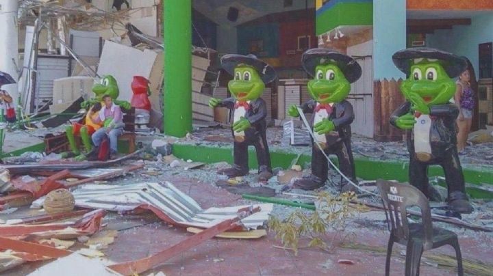 Se roban las ranas de Señor Frog's de Acapulco, virales por resistir el paso de Otis | VIDEO