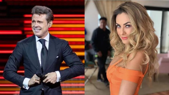 Luis Miguel pagó su deuda con Aracely Arámbula y hasta le dio de más; ¿cuánto dinero es?