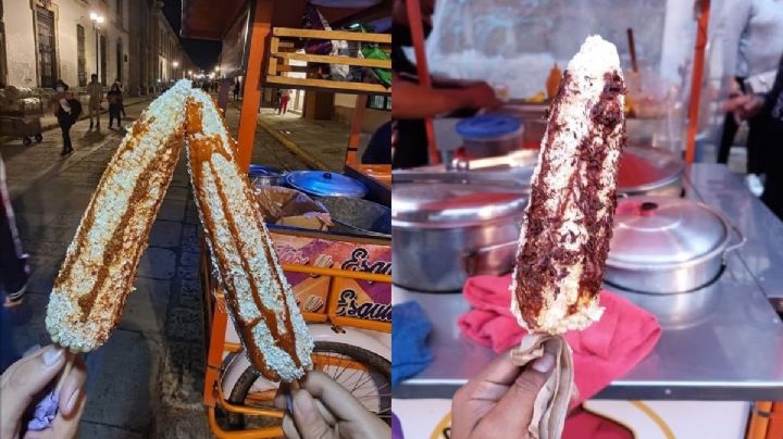 Elotes con chapulines y chicatanas, el platillo callejero imperdible si visitas OAXACA