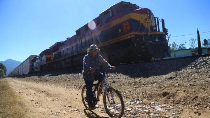 ¿Cuáles son las siete rutas de trenes que AMLO decretó como prioritarias este 20 de noviembre?