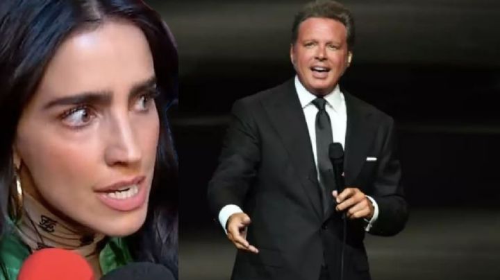 Bárbara de Regil explota contra Luis Miguel por no saludarla en su concierto