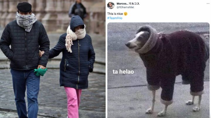 Con todo y cobija de tigre: Los MEMES del frío en México inundan las redes