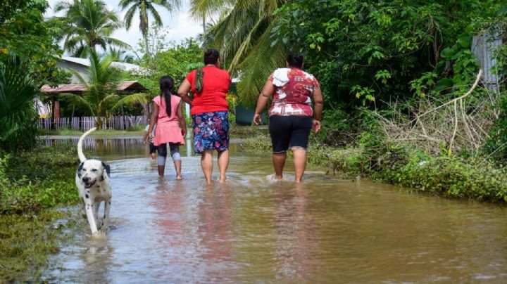 Frente Frío 9 llega a OAXACA: ¿Qué tanto bajará la temperatura del 7 al 10 de noviembre?