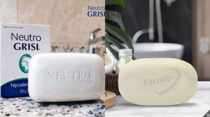 ¿Cuál es el mejor jabón neutro en México: Escudo, Neutro Grisi o Palmolive? Profeco responde