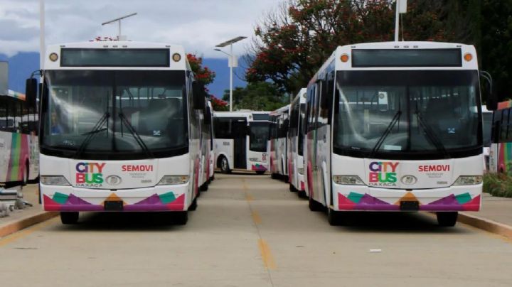 El CityBus OAXACA deja de ser gratis el 12 de noviembre; ¿cuánto costará al público en general?