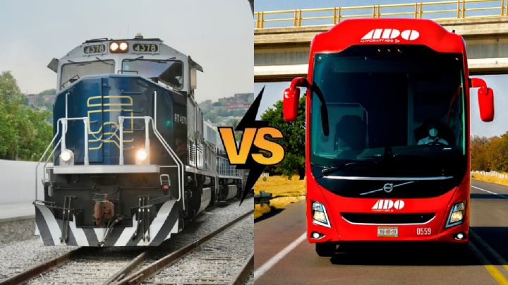 Tren Interóceanico o viaje en autobús: ¿Cuál es más barato para recorrer la ruta Oaxaca a Veracruz?