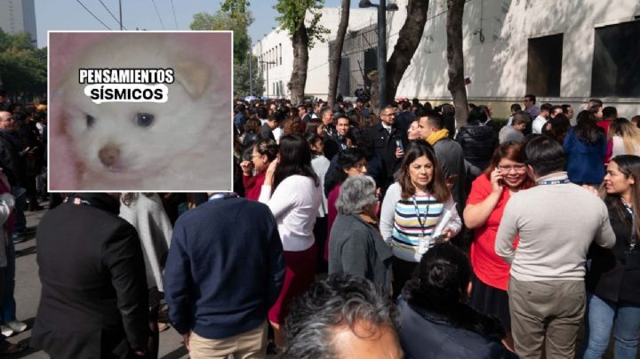 ¡Sigan haciéndole memes a la Virgen! Suman 4 sismos hoy en la CDMX y hace un año también tembló