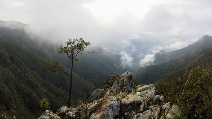 ¿Trepar cerros los domingos? Conoce la cumbre de OAXACA para sanar tu corazón en la naturaleza