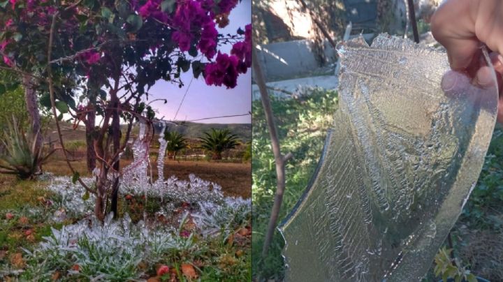 Tormenta Invernal helará a OAXACA: El termómetro bajará hasta -5°C en estas regiones