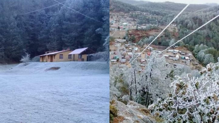 Nieve en OAXACA: Estas son las imágenes de la Sierra Juárez pintada de blanco por el frío polar