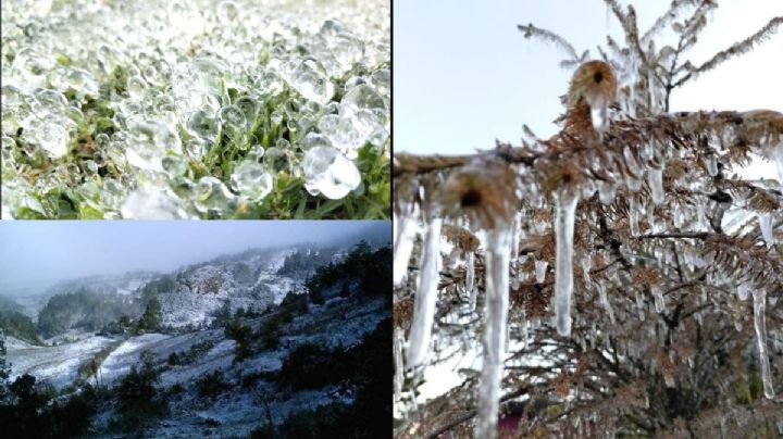 FOTOS |OAXACA amanece con paisaje nevado y temperatura de -6 grados