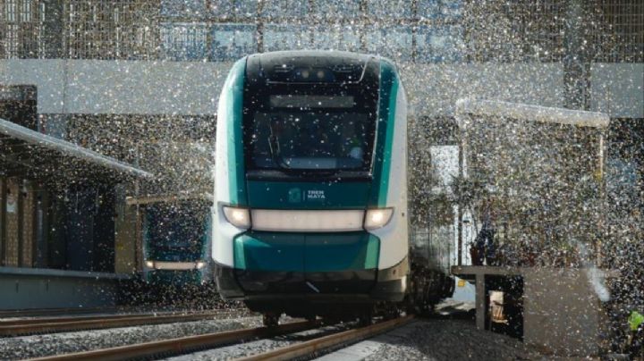 TREN MAYA suspende operaciones hasta el próximo año por esta razón