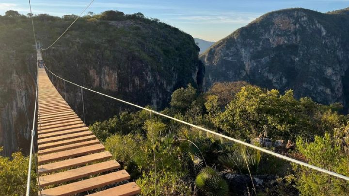 OAXACA tiene un nuevo puente colgante para vivir la adrenalina de cruzar un enorme barranco