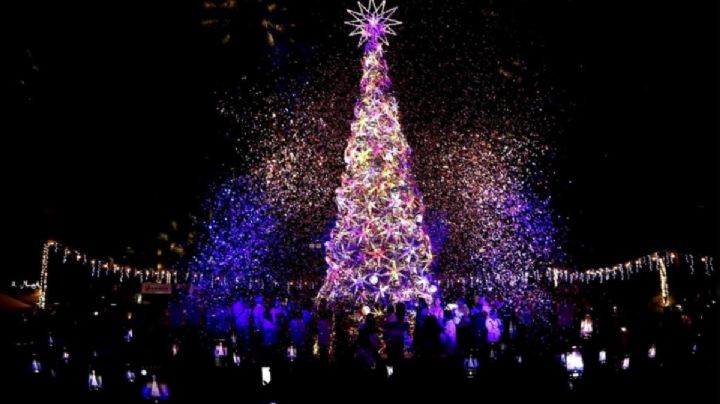 Comienza la navidad en Oaxaca con encendido del árbol monumental