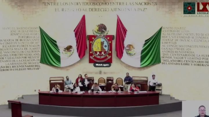 Diputada de OAXACA explota en plena sesión del Congreso y lanza insultos a compañeros | VIDEO