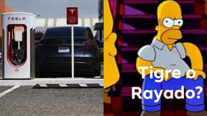 "Ah, la raza": Los MEMES se ponen norteños con la llegada de Tesla a Nuevo León