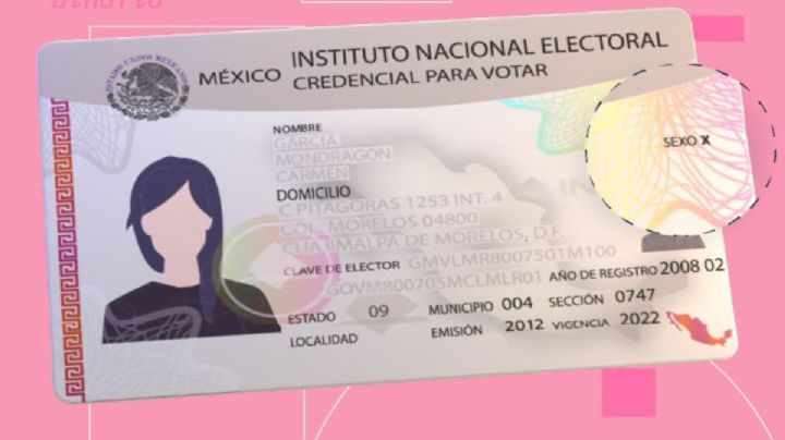 ¿Cómo pedir al INE que te reconozca como persona no binaria en tu credencial de elector?