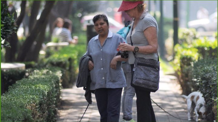 ¿Cuánto gana una trabajadora del hogar en México en 2023? Sueldos diarios por categoría