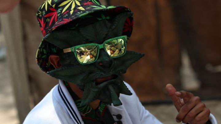 Oaxaca: ¿Se puede fumar marihuana en la calle? Esto dice la ley