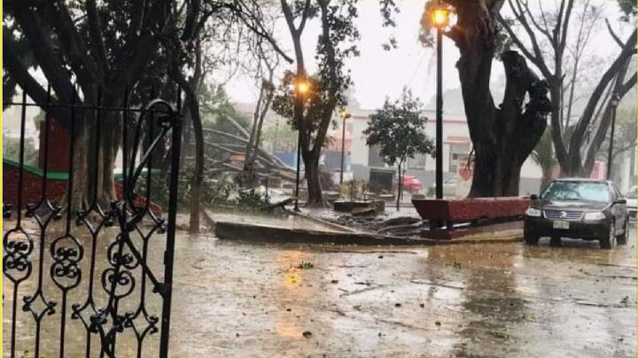 Árboles caídos, cortes de luz y caos generalizado por tormenta en Oaxaca | VIDEO