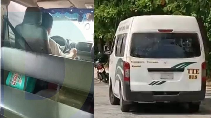 VIDEO | Mujer graba momento en que es asesinada por chofer de combi en Cancún