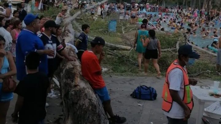 Tragedia en balneario de Guanajuato: Árbol cae sobre bañistas y bebé pierde la vida | VIDEO