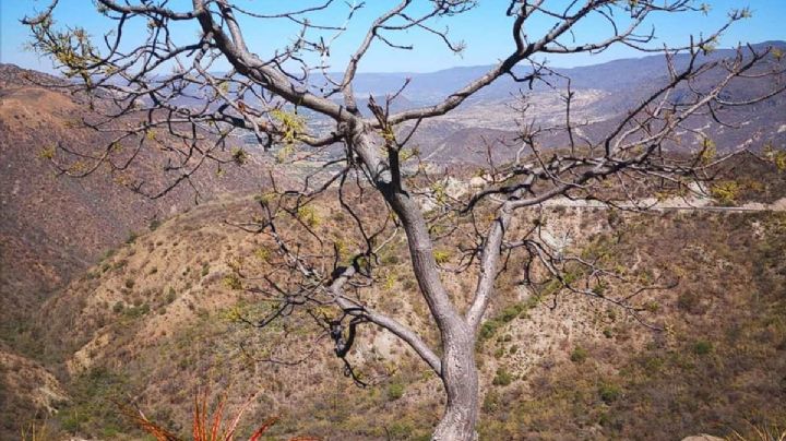 Hombre se despide de su amigo y se lanza al vacío del "Espinazo del Diablo" en OAXACA