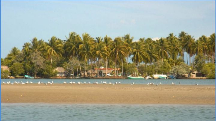 Vive la fiesta en la Costa de OAXACA: ¿Qué eventos GRATIS habrá para cerrar el 2025?