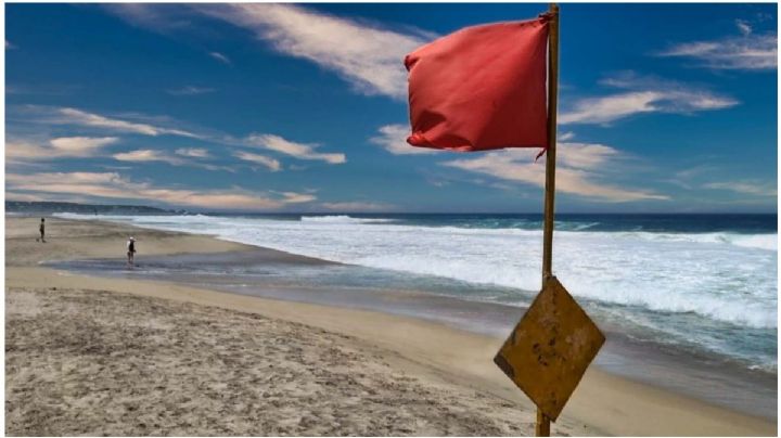 Mar de fondo en OAXACA: ¿qué significan los colores de las banderas que ponen en la playa?